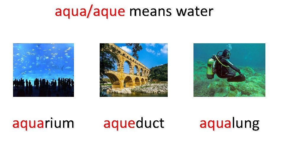 aqua/aque means water aquarium aqueduct aqualung 