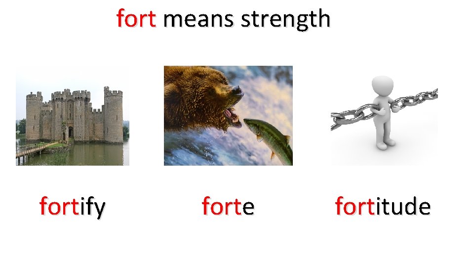 fort means strength fortify forte fortitude 