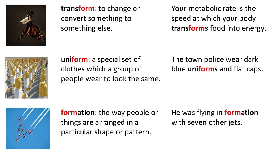 transform: to change or convert something to something else. Your metabolic rate is the