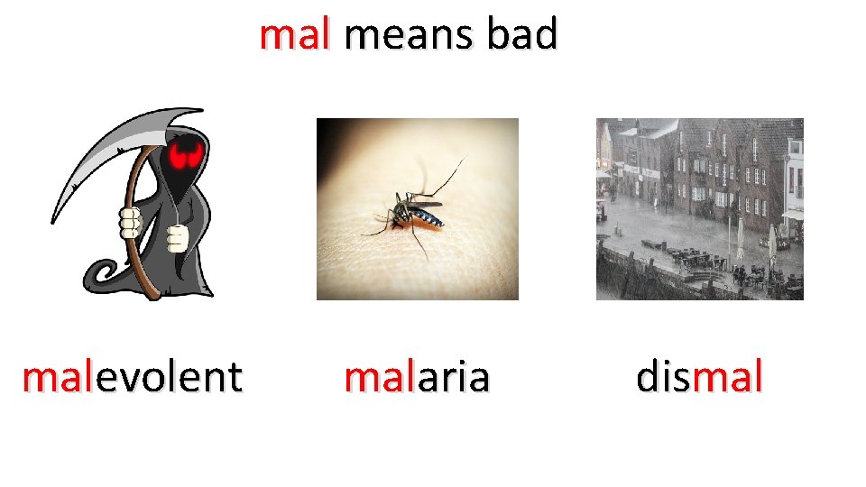 mal means bad malevolent malaria dismal 