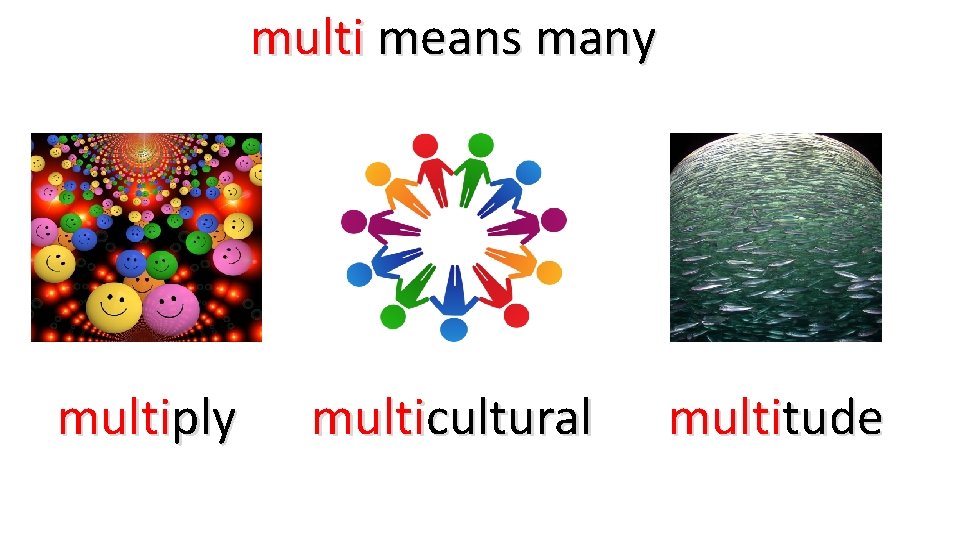 multi means many multiply multicultural multitude 