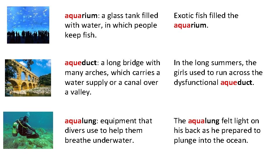 aquarium: a glass tank filled with water, in which people keep fish. Exotic fish