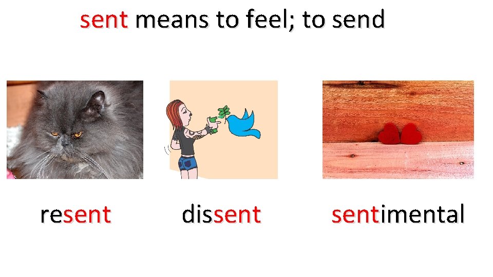 sent means to feel; to send resent dissentimental 