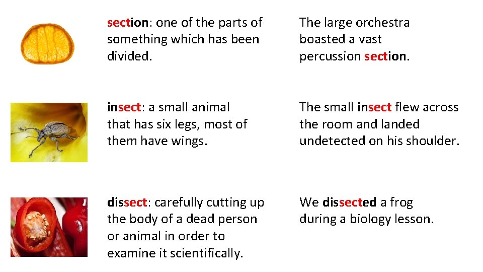 section: one of the parts of something which has been divided. The large orchestra