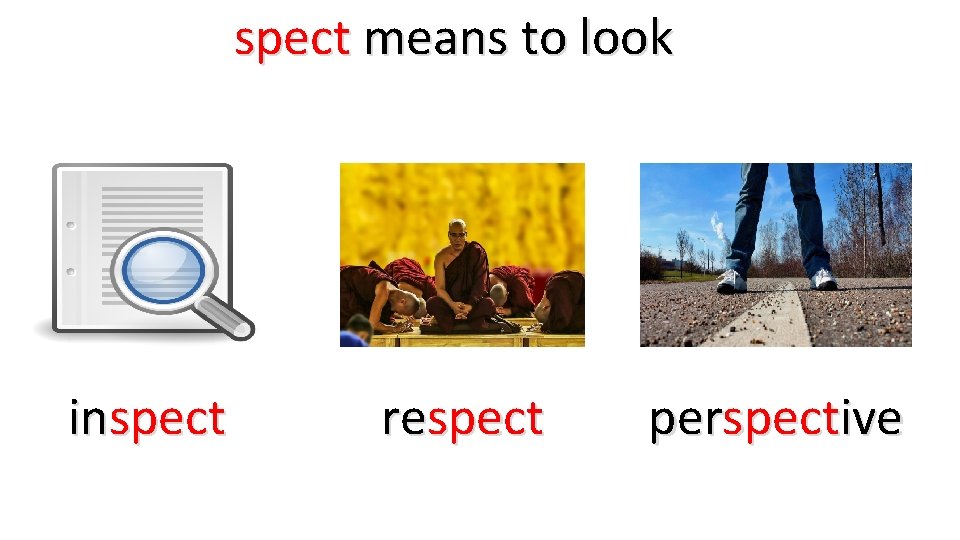 spect means to look inspect respect perspective 