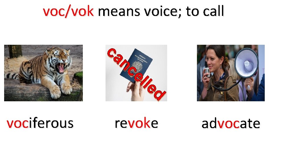 voc/vok means voice; to call ca nc el le d vociferous revoke advocate 