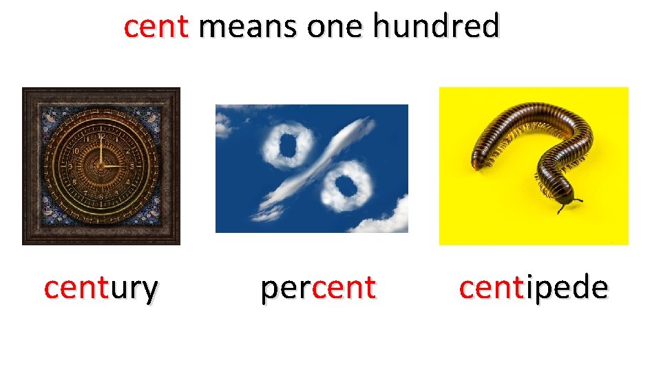 cent means one hundred century percentipede 