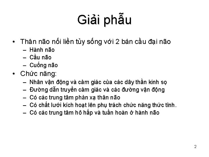 Giải phẫu • Thân não nối liền tủy sống với 2 bán cầu đại