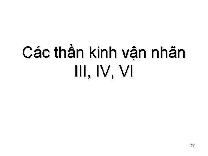 Các thần kinh vận nhãn III, IV, VI 20 