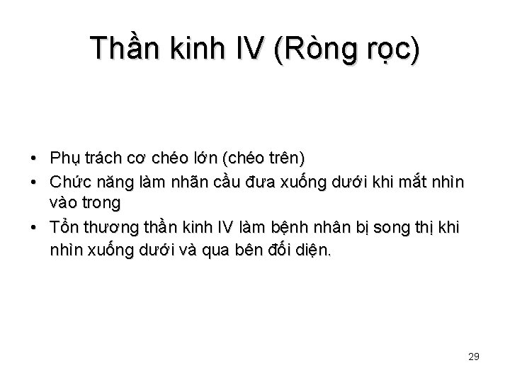 Thần kinh IV (Ròng rọc) • Phụ trách cơ chéo lớn (chéo trên) •