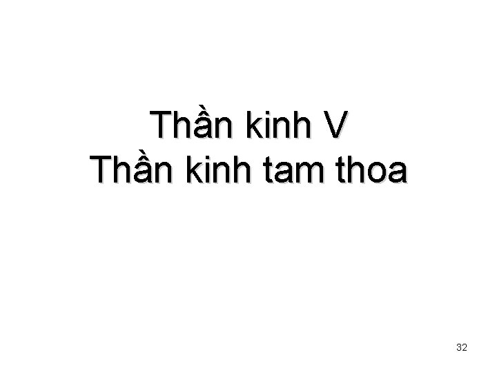 Thần kinh V Thần kinh tam thoa 32 