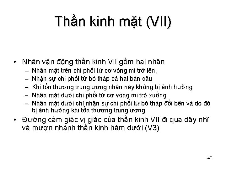 Thần kinh mặt (VII) • Nhân vận động thần kinh VII gồm hai nhân