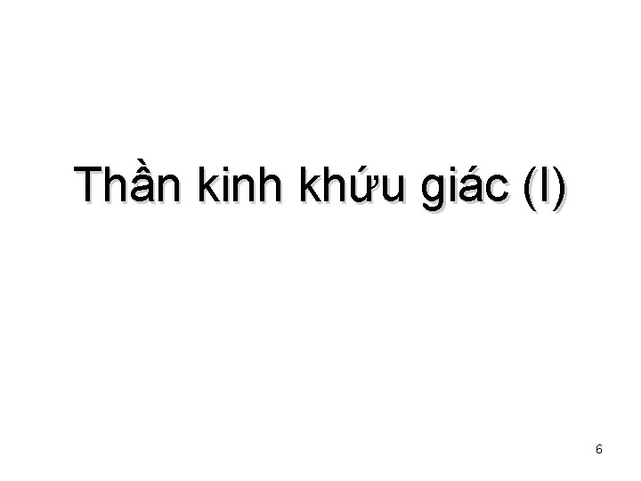 Thần kinh khứu giác (I) 6 