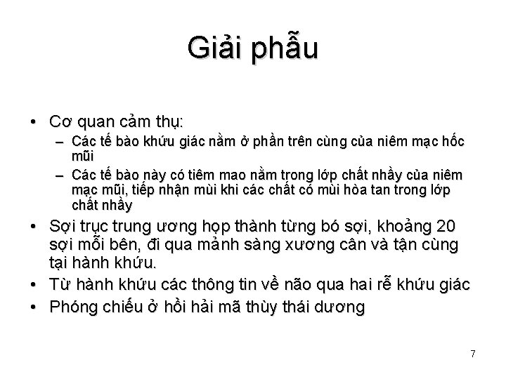 Giải phẫu • Cơ quan cảm thụ: – Các tế bào khứu giác nằm