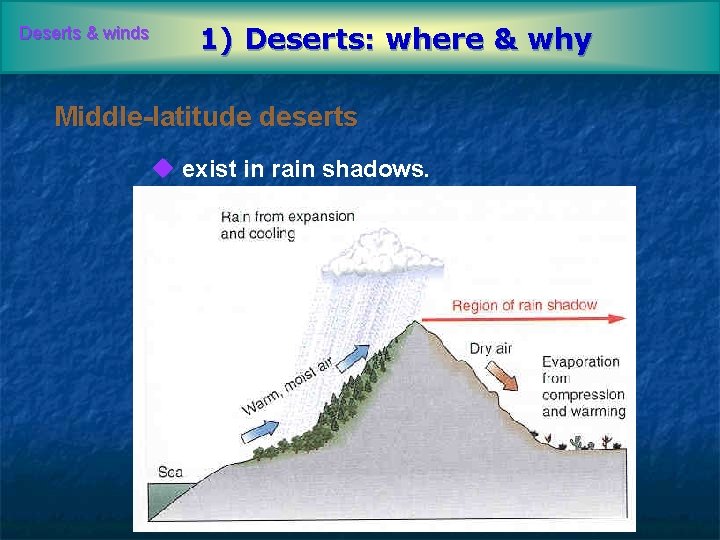 Deserts & winds 1) Deserts: where & why Middle-latitude deserts u exist in rain