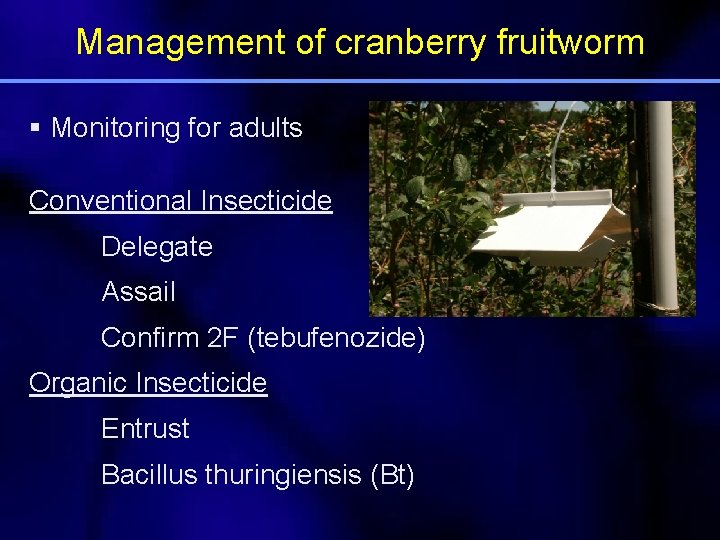 Management of cranberry fruitworm § Monitoring for adults Conventional Insecticide Delegate Assail Confirm 2