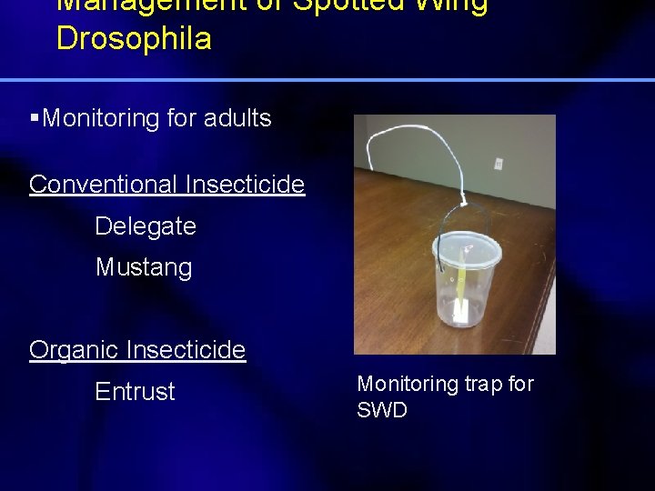 Management of Spotted Wing Drosophila §Monitoring for adults Conventional Insecticide Delegate Mustang Organic Insecticide