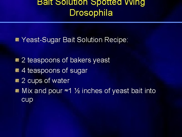 Bait Solution Spotted Wing Drosophila Yeast-Sugar Bait Solution Recipe: 2 teaspoons of bakers yeast