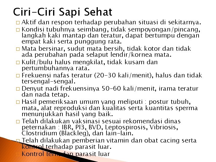 Ciri-Ciri Sapi Sehat Aktif dan respon terhadap perubahan situasi di sekitarnya. � Kondisi tubuhnya