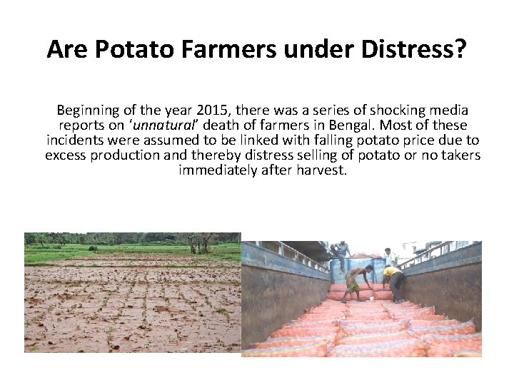 Are Potato Farmers under Distress? Beginning of the year 2015, there was a series