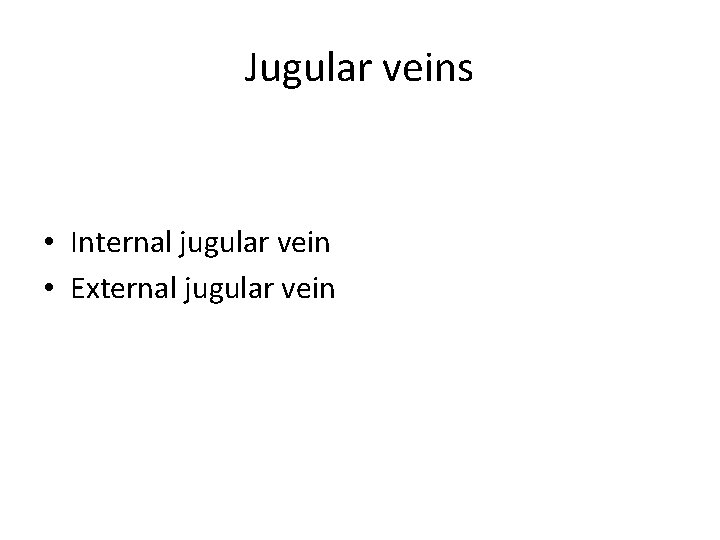 Jugular veins • Internal jugular vein • External jugular vein Jugular veins • Internal jugular vein • External jugular vein