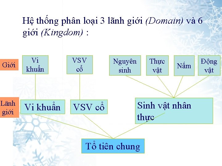 Hệ thống phân loại 3 lãnh giới (Domain) và 6 giới (Kingdom) : Giới