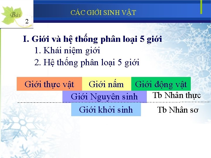 CÁC GIỚI SINH VẬT 2 I. Giới và hệ thống phân loại 5 giới