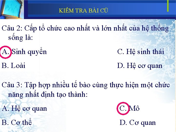 KIỂM TRA BÀI CŨ Câu 2: Cấp tổ chức cao nhất và lớn nhất