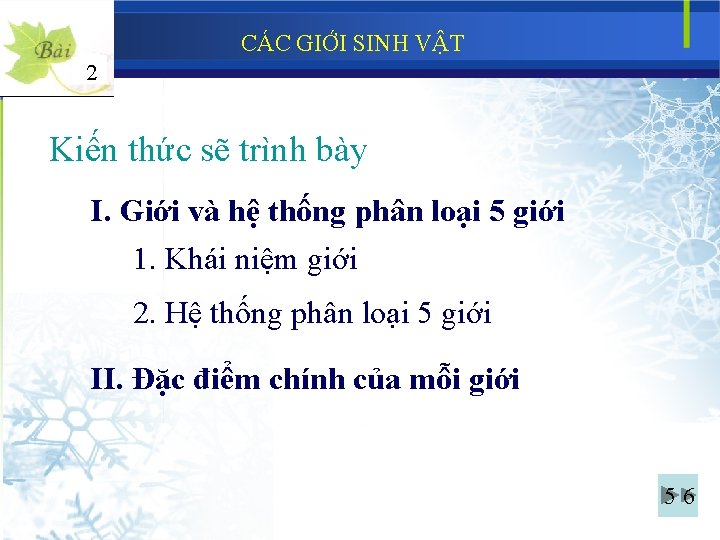 CÁC GIỚI SINH VẬT 2 Kiến thức sẽ trình bày 2 I. Giới và