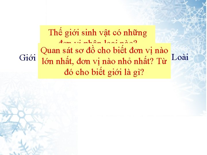 Thế giới sinh vật có những đơn vị phân loại nào? Quan sát sơ