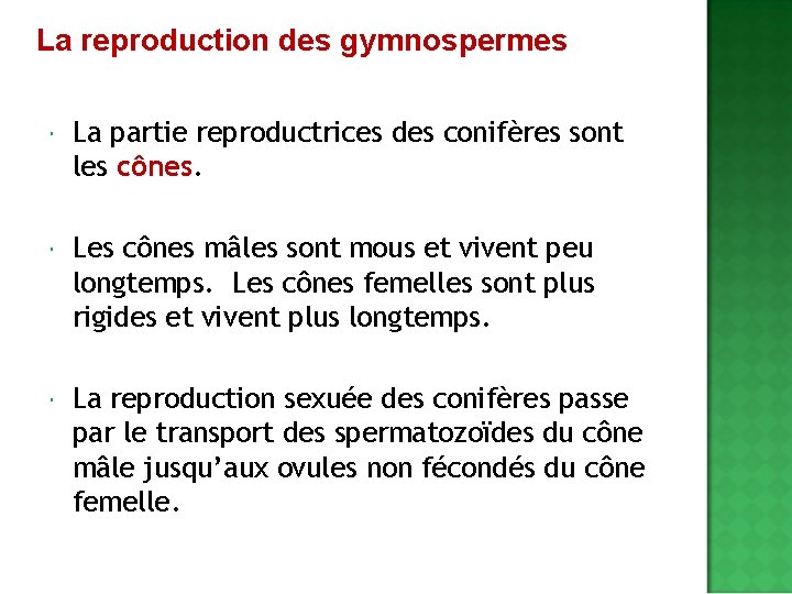La reproduction des gymnospermes La partie reproductrices des conifères sont les cônes Les cônes