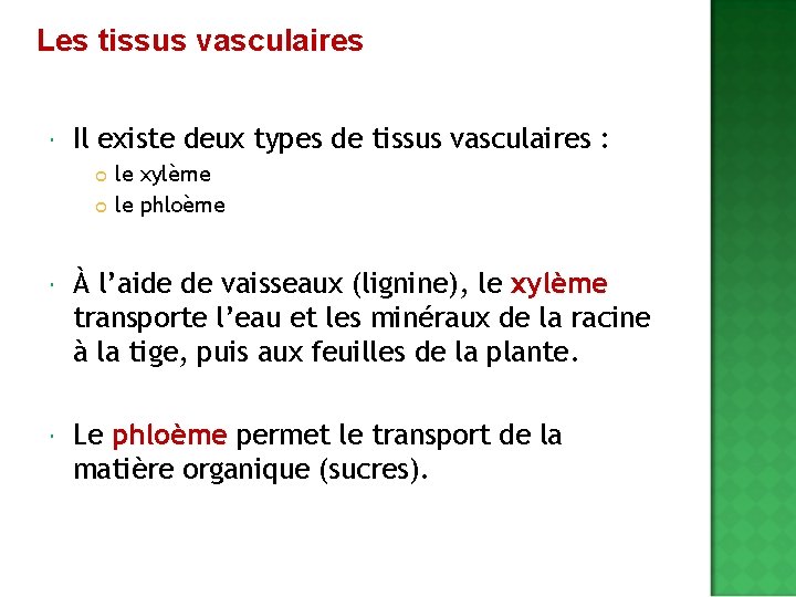 Les tissus vasculaires Il existe deux types de tissus vasculaires : le xylème le