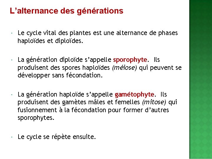 L’alternance des générations Le cycle vital des plantes est une alternance de phases haploïdes