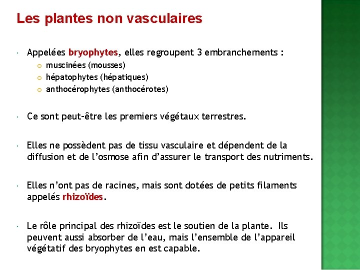 Les plantes non vasculaires Appelées bryophytes, bryophytes elles regroupent 3 embranchements : muscinées (mousses)