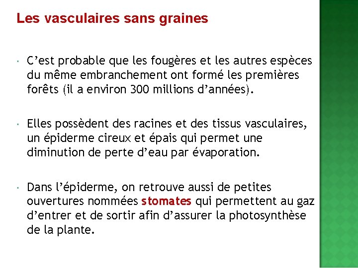 Les vasculaires sans graines C’est probable que les fougères et les autres espèces du