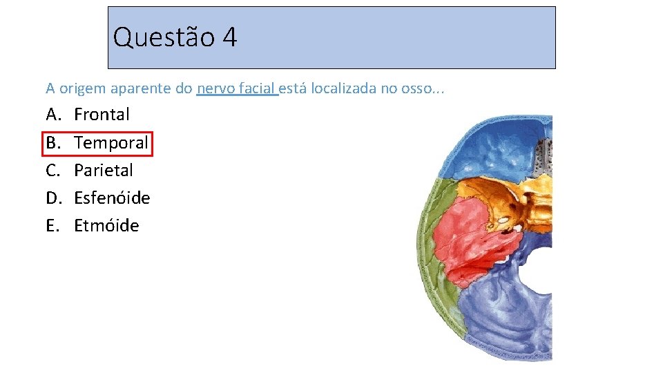 Questão 4 A origem aparente do nervo facial está localizada no osso. . .