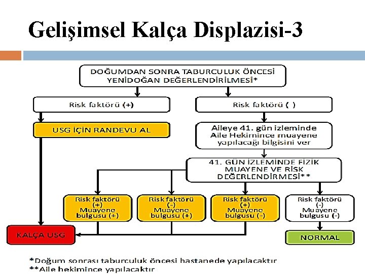 Gelişimsel Kalça Displazisi-3 