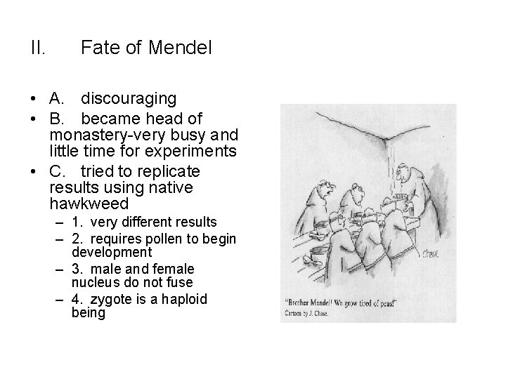 II. Fate of Mendel • A. discouraging • B. became head of monastery-very busy