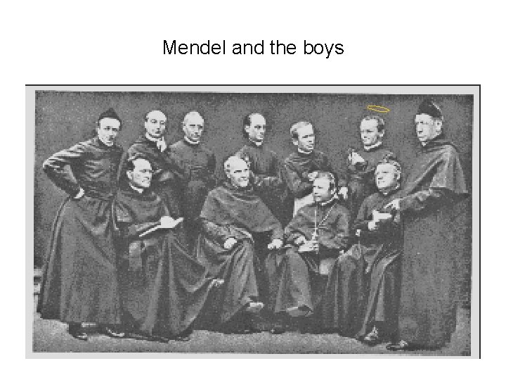 Mendel and the boys 