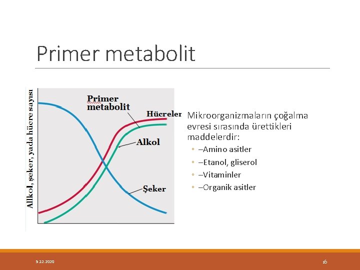 Primer metabolit Mikroorganizmaların çoğalma evresi sırasında ürettikleri maddelerdir: ◦ ◦ –Amino asitler –Etanol, gliserol