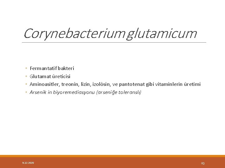 Corynebacterium glutamicum ◦ ◦ Fermantatif bakteri Glutamat üreticisi Aminoasitler, treonin, lizin, izolösin, ve pantotenat