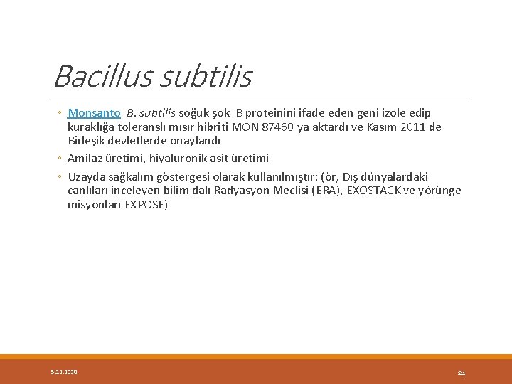 Bacillus subtilis ◦ Monsanto B. subtilis soğuk şok B proteinini ifade eden geni izole