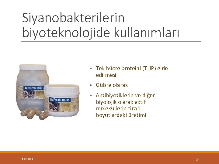 Siyanobakterilerin biyoteknolojide kullanımları • Tek hücre proteini (THP) elde edilmesi • Gübre olarak •