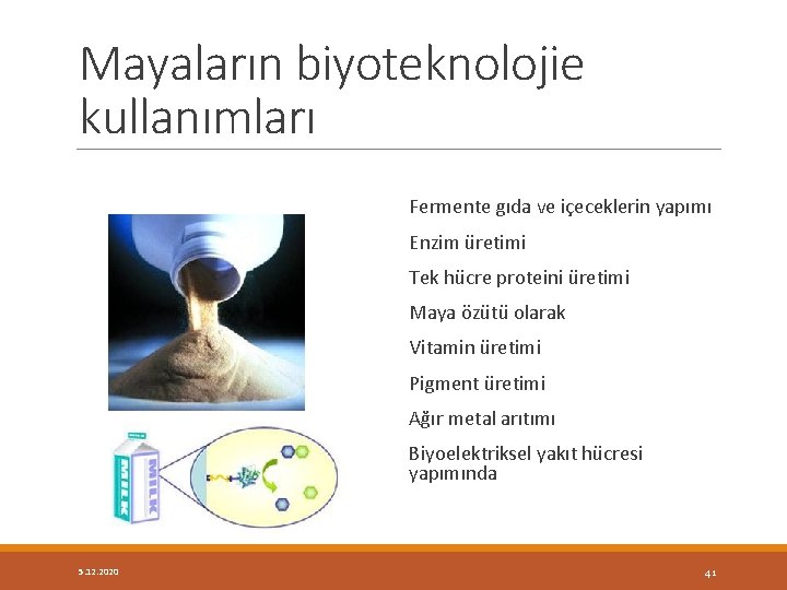 Mayaların biyoteknolojie kullanımları Fermente gıda ve içeceklerin yapımı Enzim üretimi Tek hücre proteini üretimi