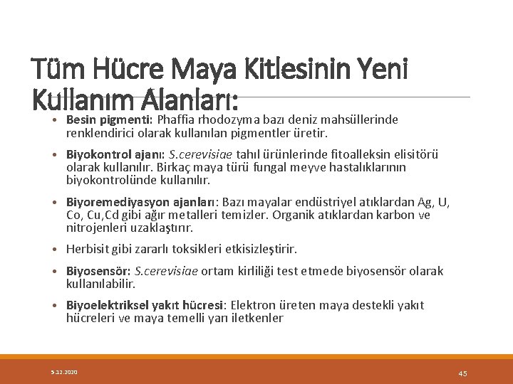 Tüm Hücre Maya Kitlesinin Yeni Kullanım Alanları: • Besin pigmenti: Phaffia rhodozyma bazı deniz