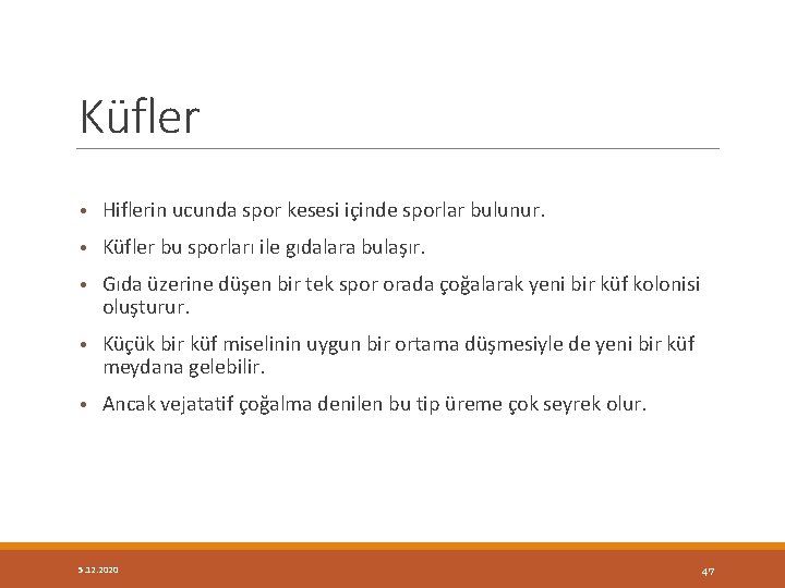 Küfler • Hiflerin ucunda spor kesesi içinde sporlar bulunur. • Küfler bu sporları ile