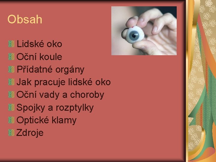 Obsah Lidské oko Oční koule Přídatné orgány Jak pracuje lidské oko Oční vady a