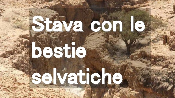 Stava con le bestie selvatiche 