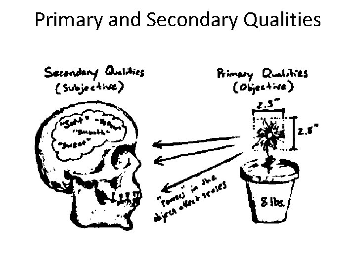 Primary and Secondary Qualities 
