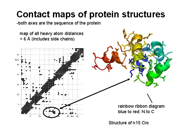 Contact maps of protein structures -both axes are the sequence of the protein map